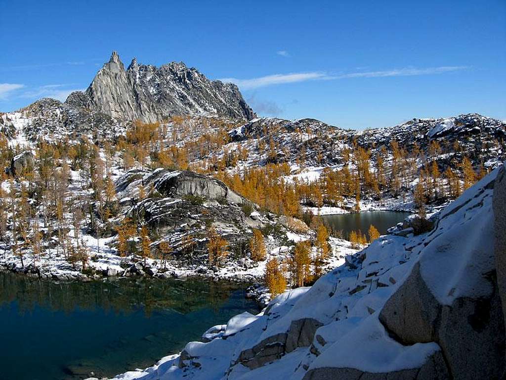 Larchtime in  the Enchantments