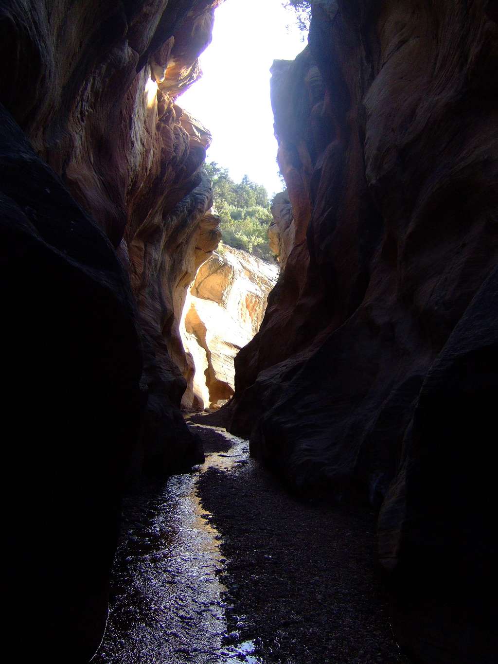 Slot canyon with stream
