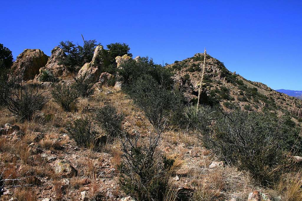 Town Mountain summit