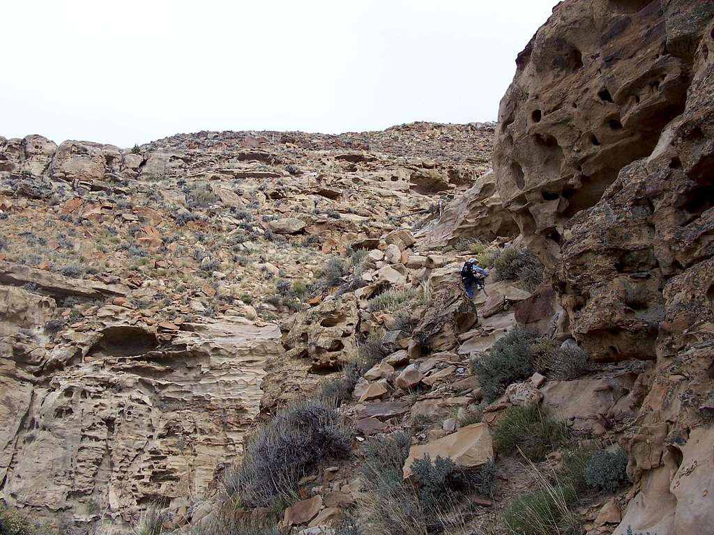 Upper Section of the Bone Trail