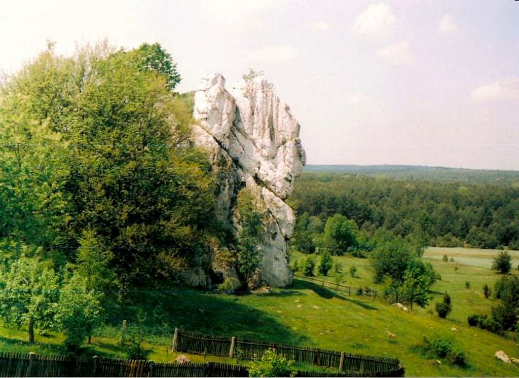 Jura krakowsko Czestochowska