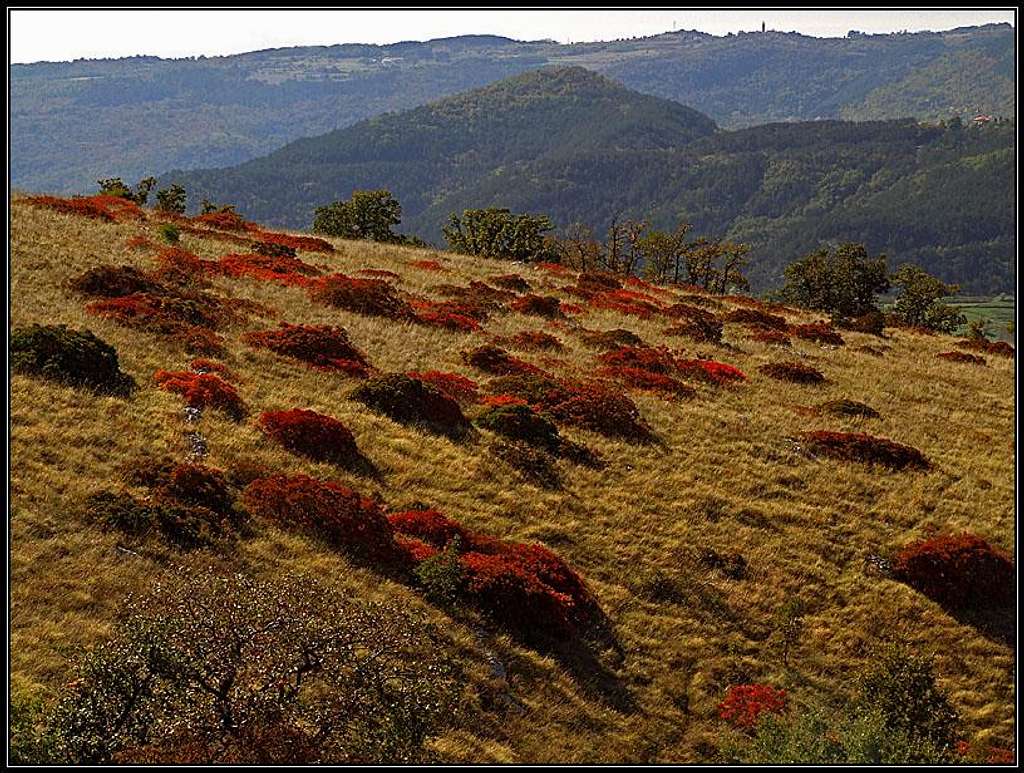 Jacemica slopes in autumn