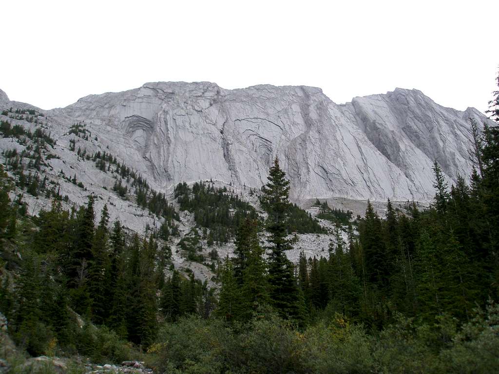 Mt. Colin