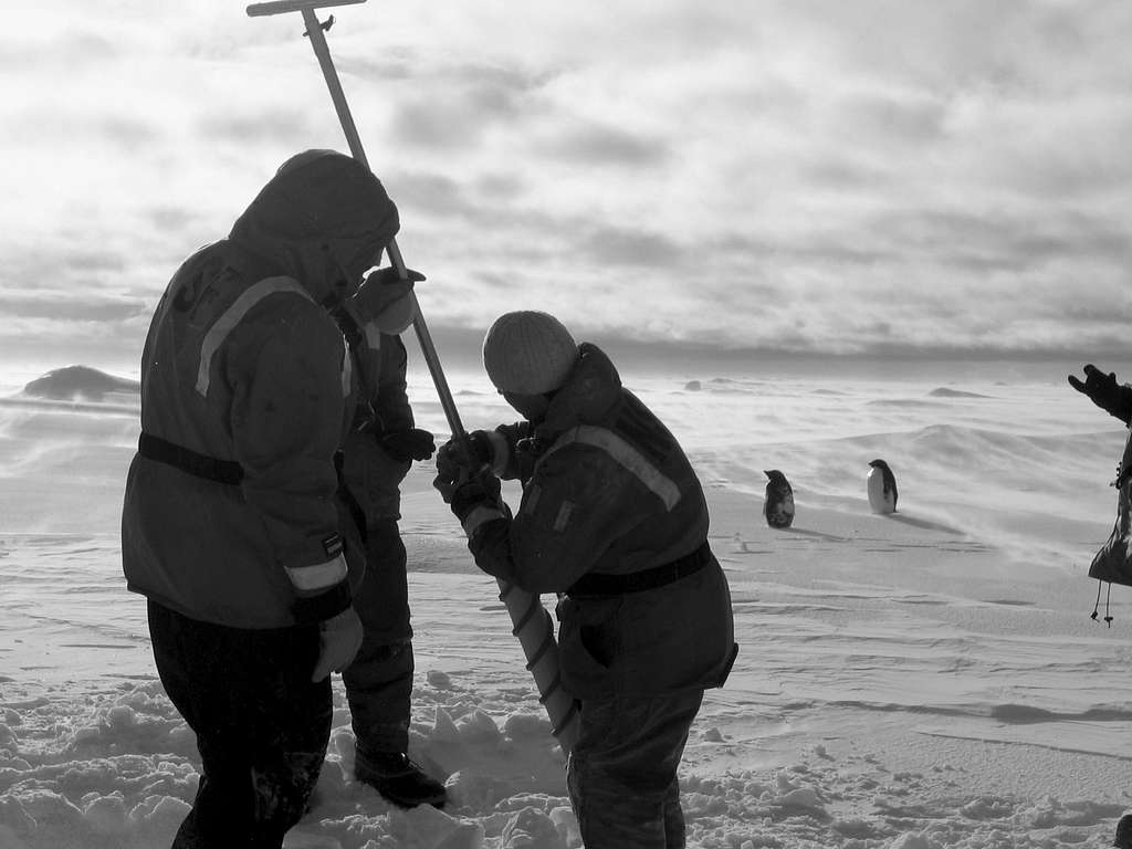 Ice coring with the Adelies, Antarctica