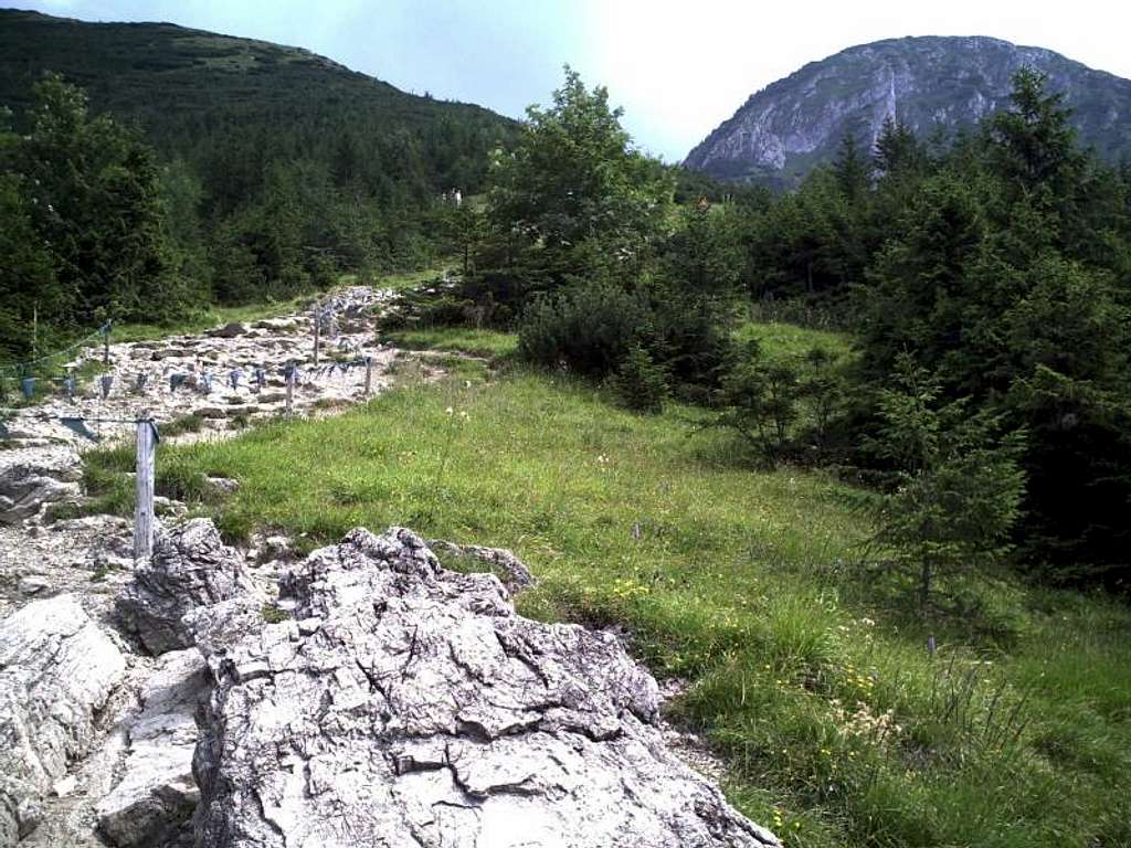 Kopa Magury-High Tatras