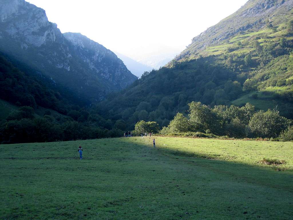 Meadows of Pedroveya
