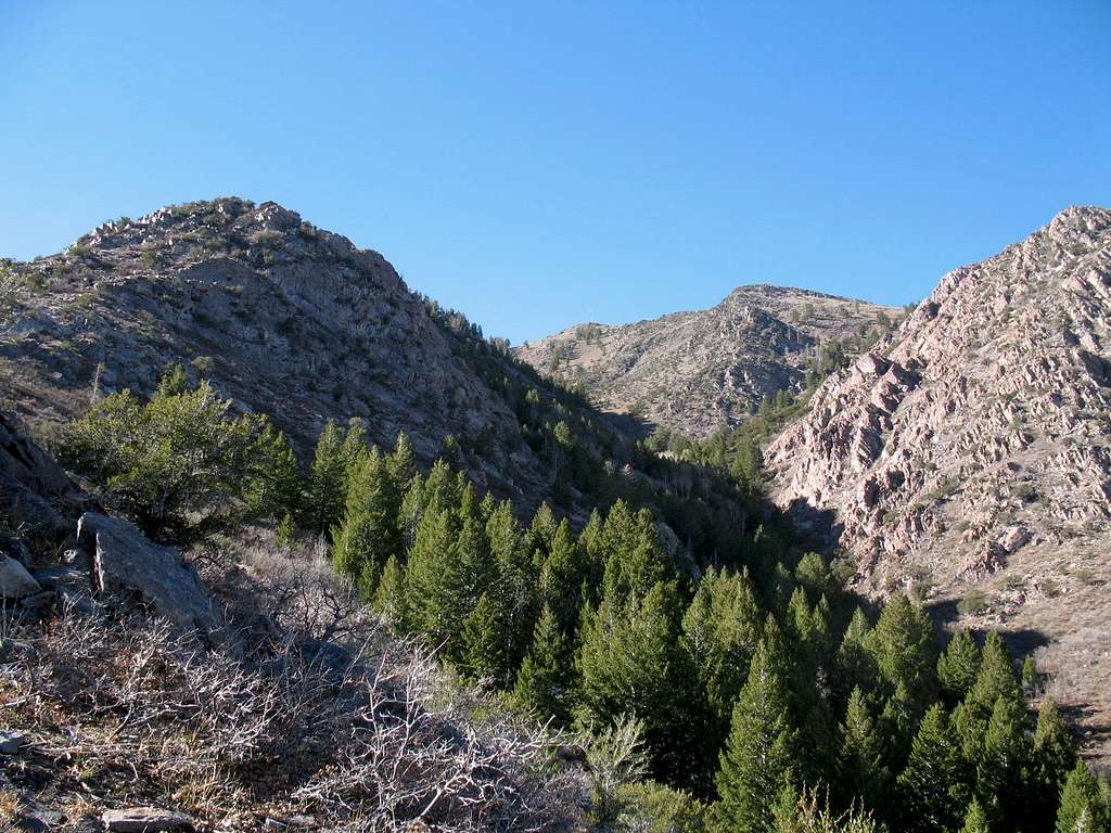North Pine Canyon