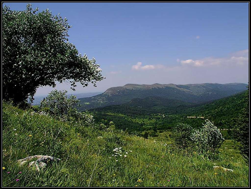 Zbevnica, seen from Gomila