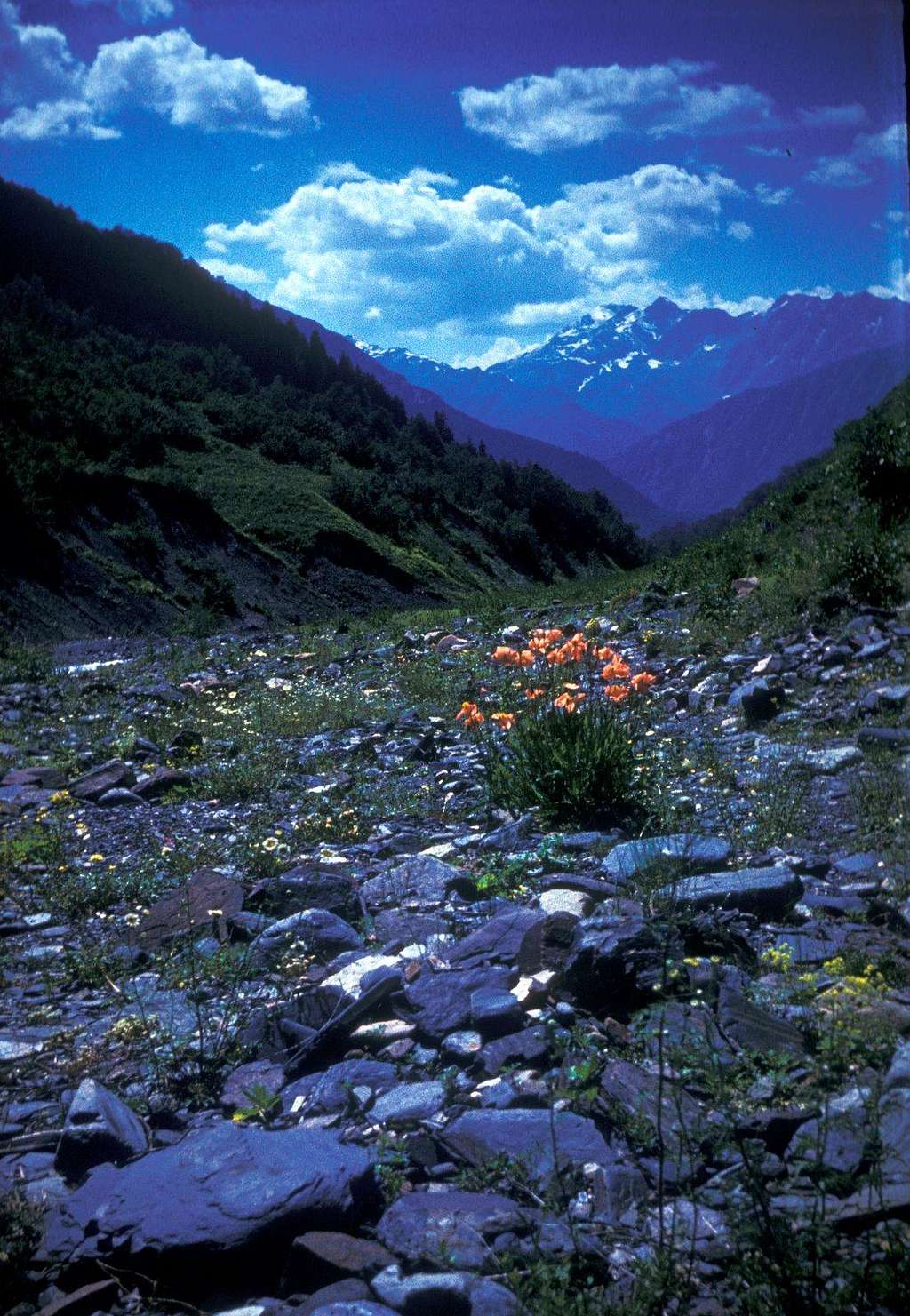 Zeskhura River, source of Jason's Golden Fleece