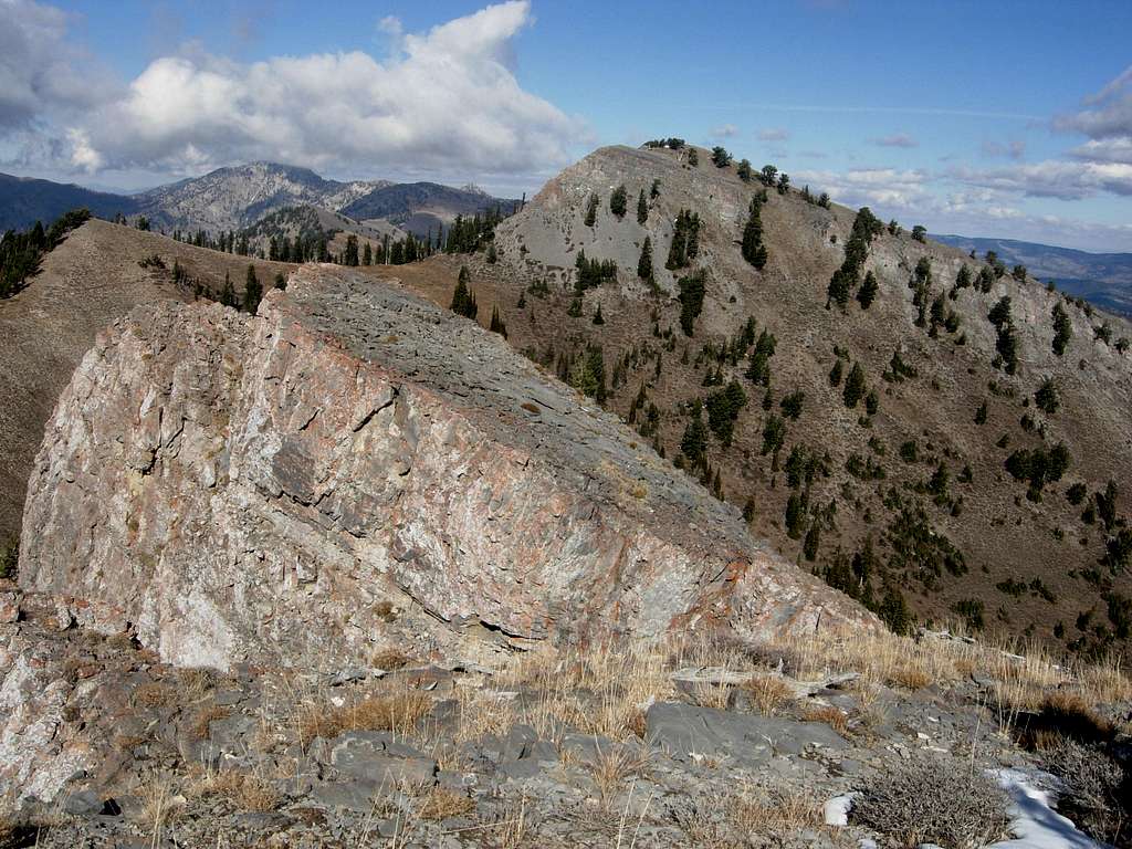 Mount Elmer