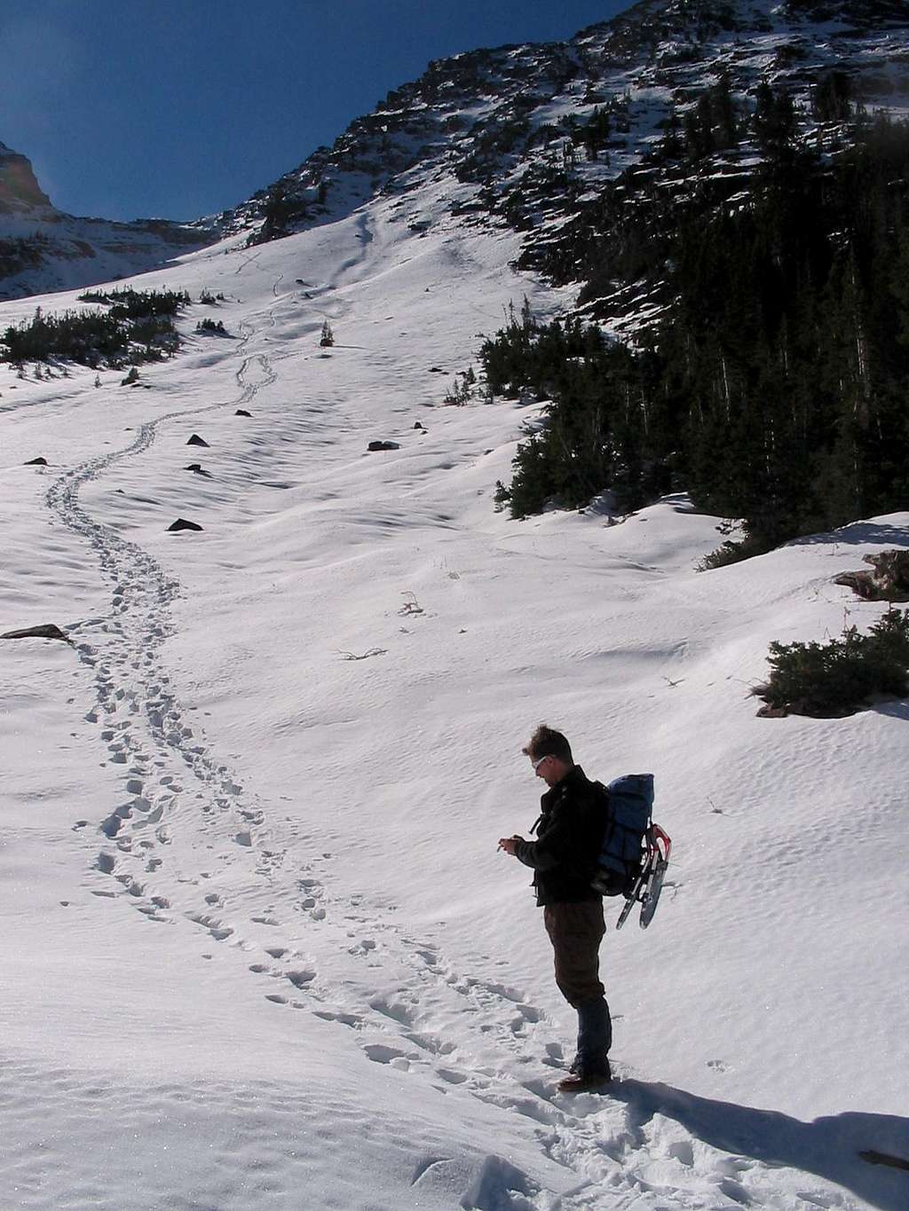 Tracks in the November snow.