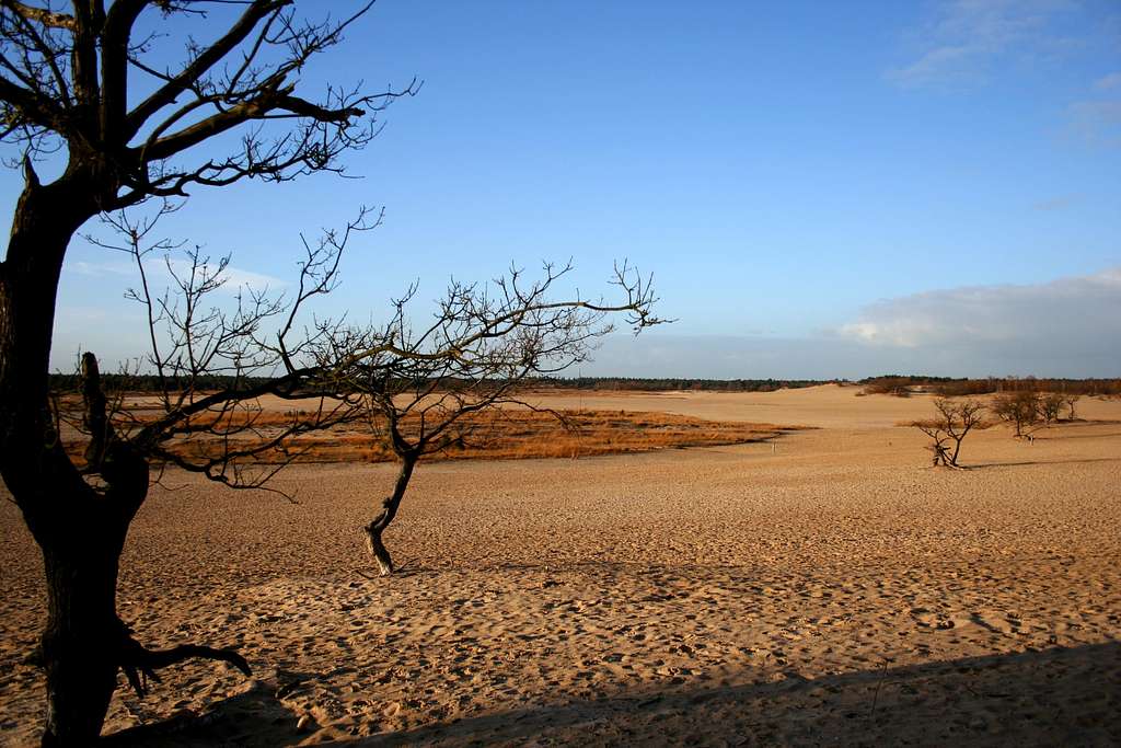 Drunense duinen