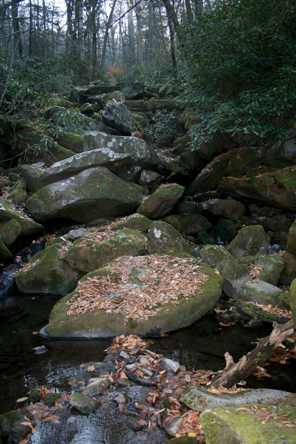 Unnamed Creek