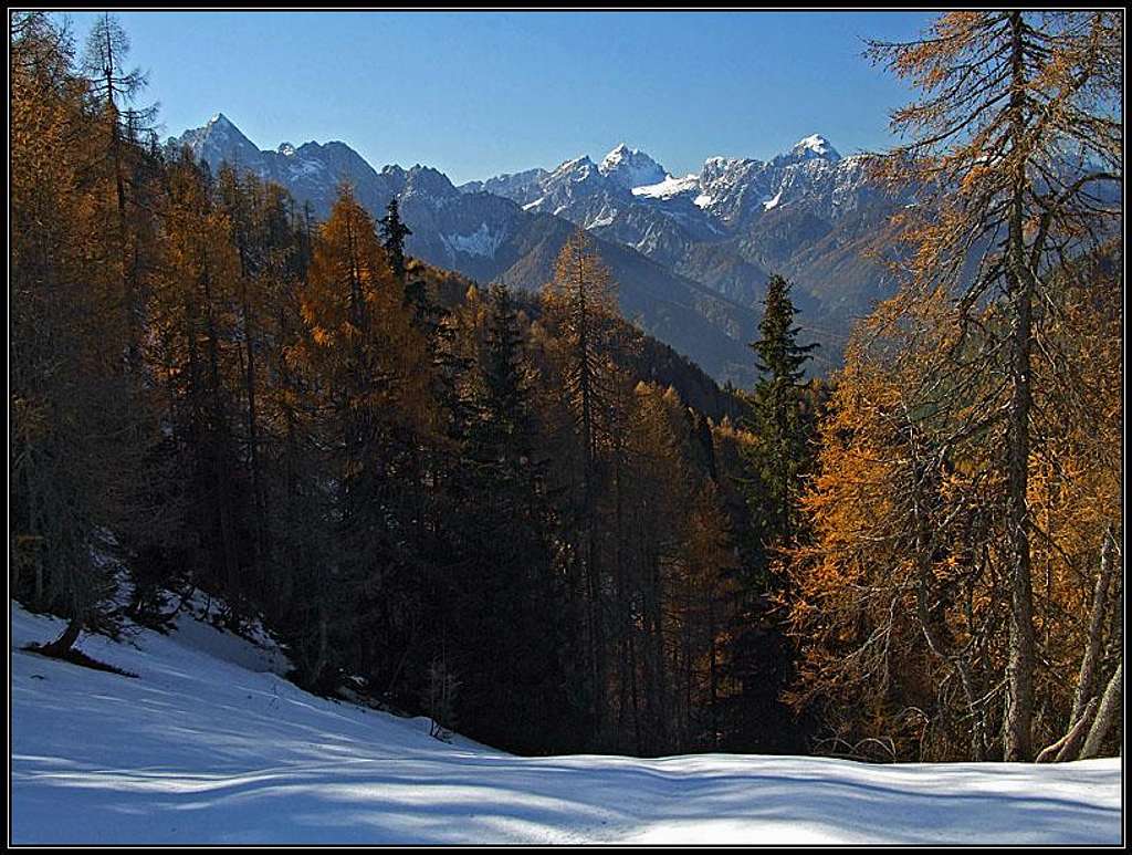 Julian Alps from below Mojstrovica