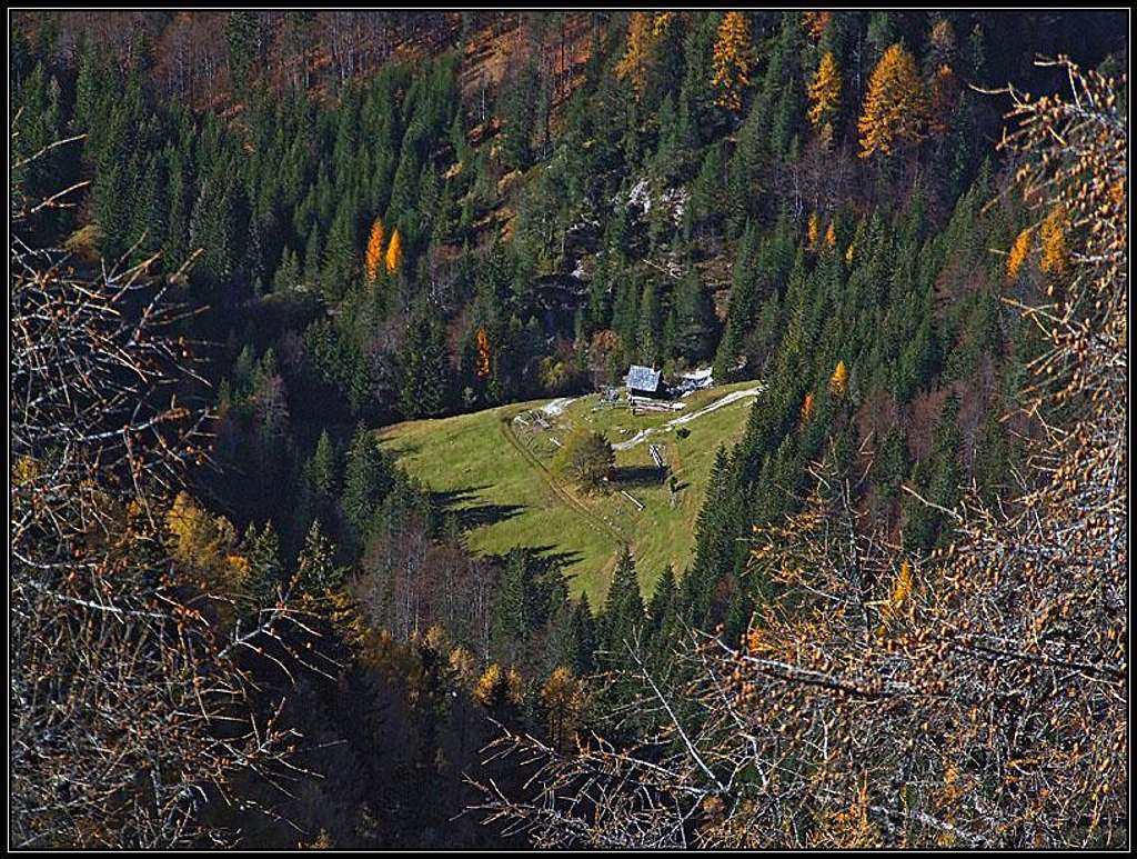 Hladnik creek meadow