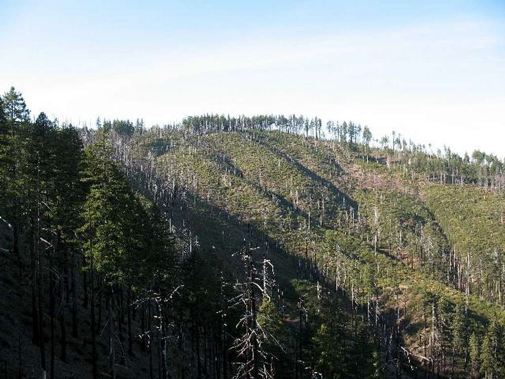 Bald  Mountain (Oregon)