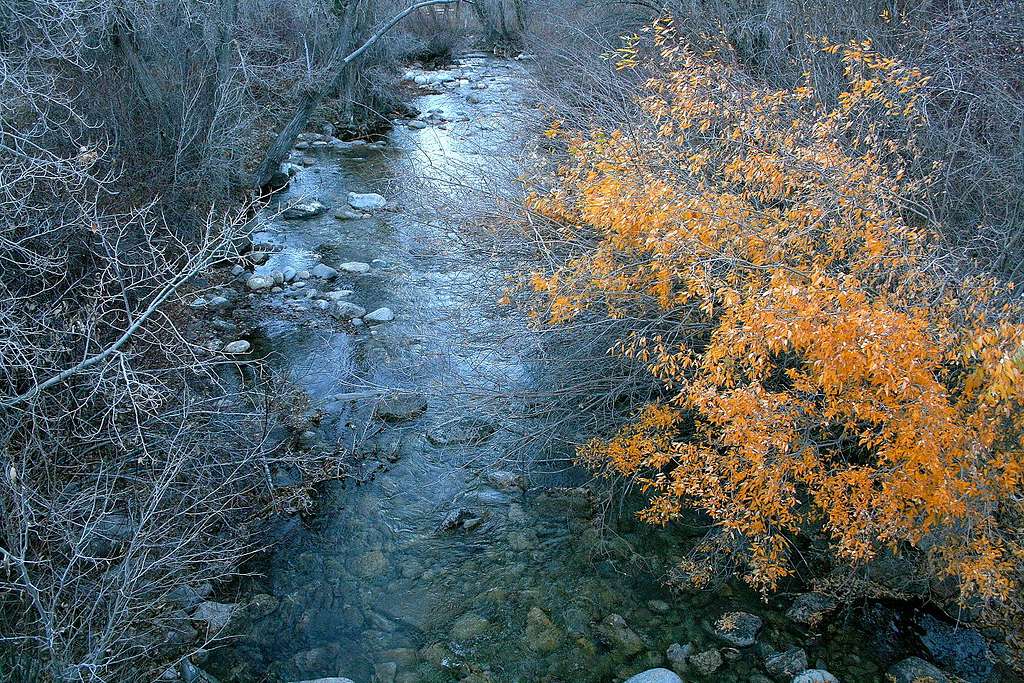 Lamoille Creek