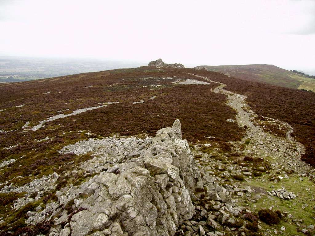 Manstone Rock view north