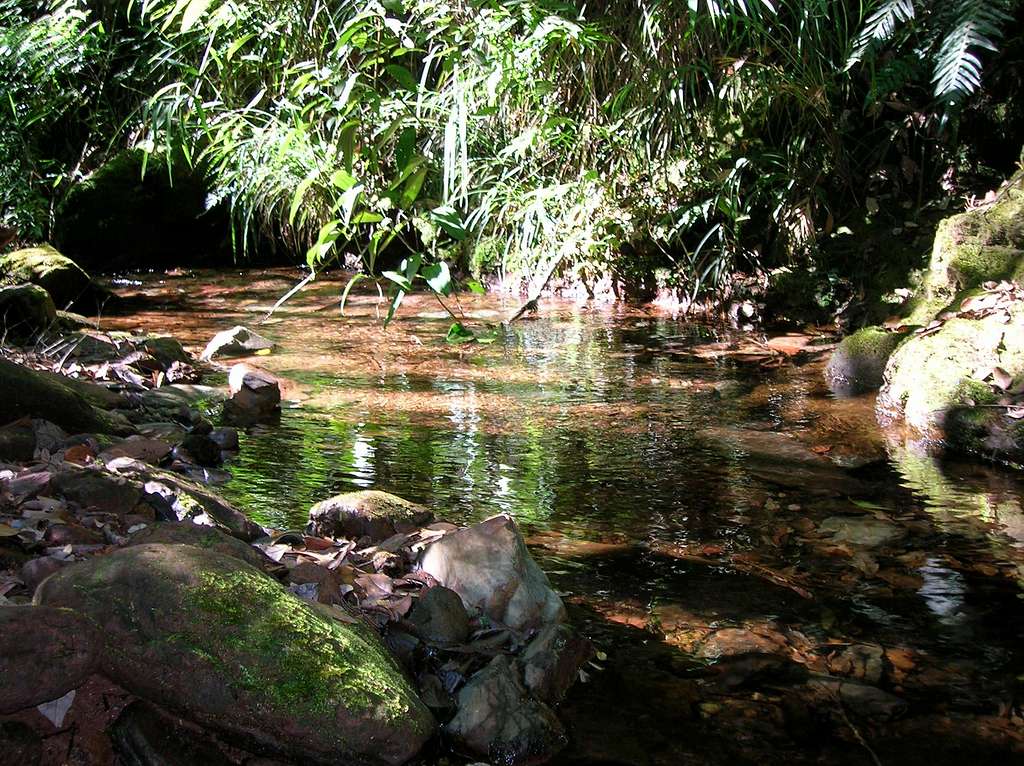One of the sources of Mambucaba river