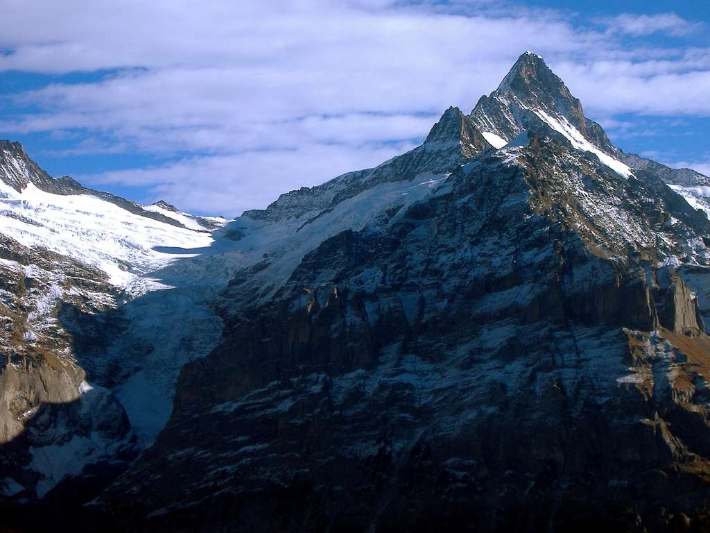 Schreckhorn (4078 m) and Upper Grindelwald Glacier