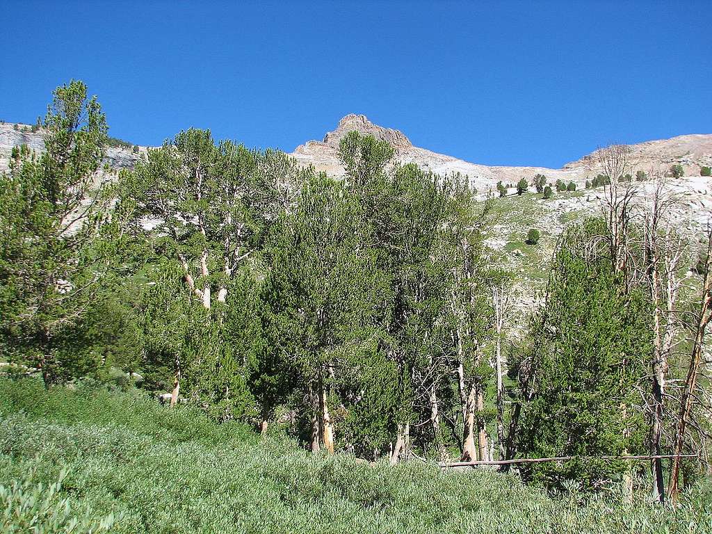 The Beautiful Ruby Mountains