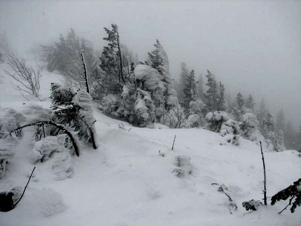 Babia Góra-Polish Mountains14