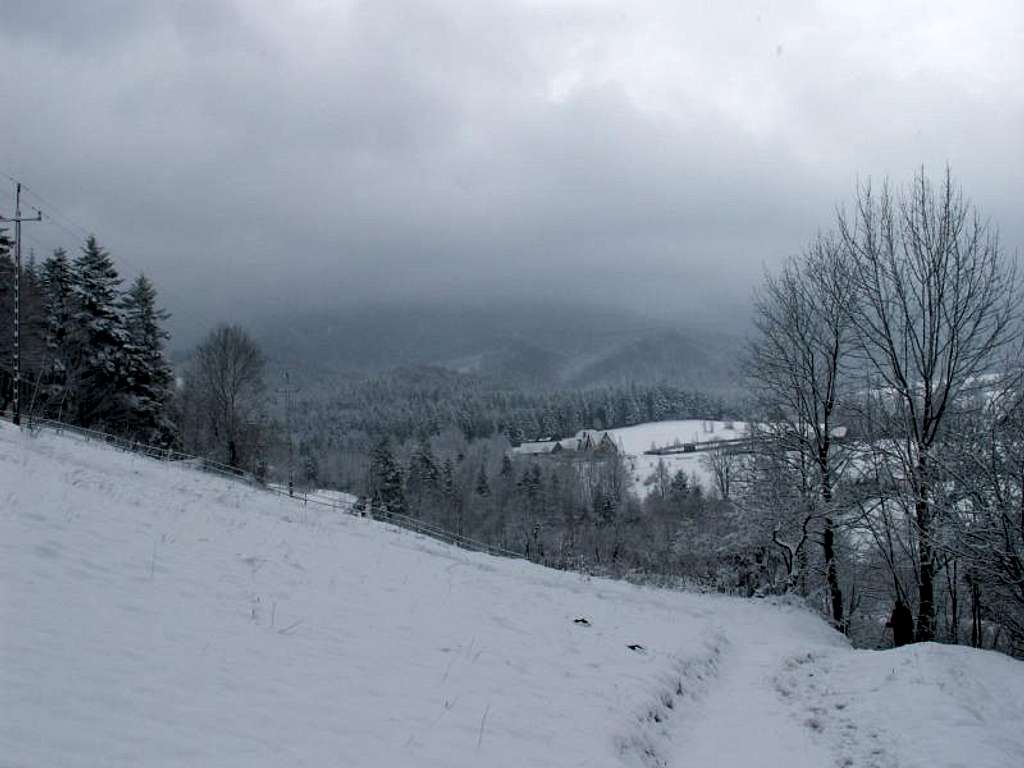 Babia Góra-Polish Mountains23