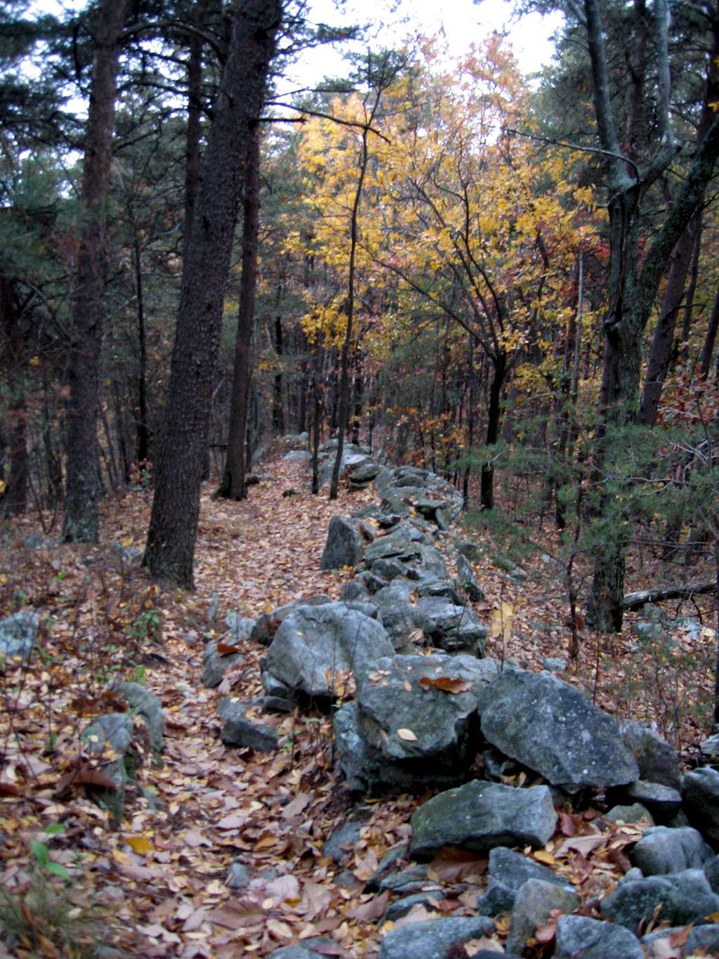 Another view of the stone wall at Dug Mountain