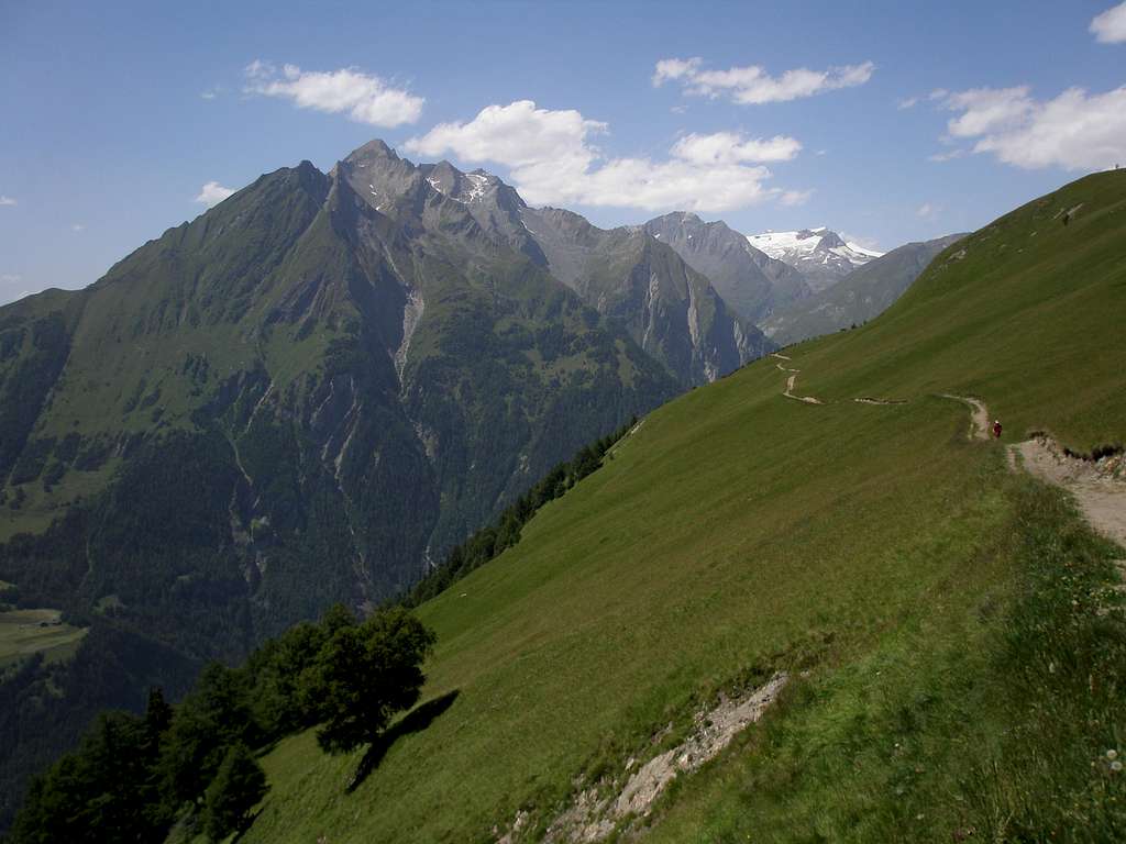 Hohe Tauern from the Edelweisswiese