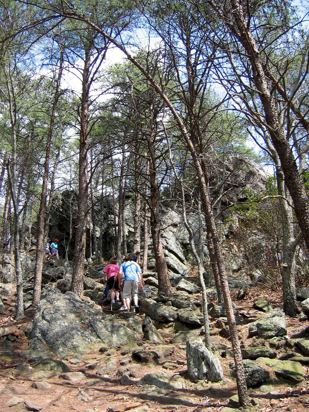 Rock Top Trail
