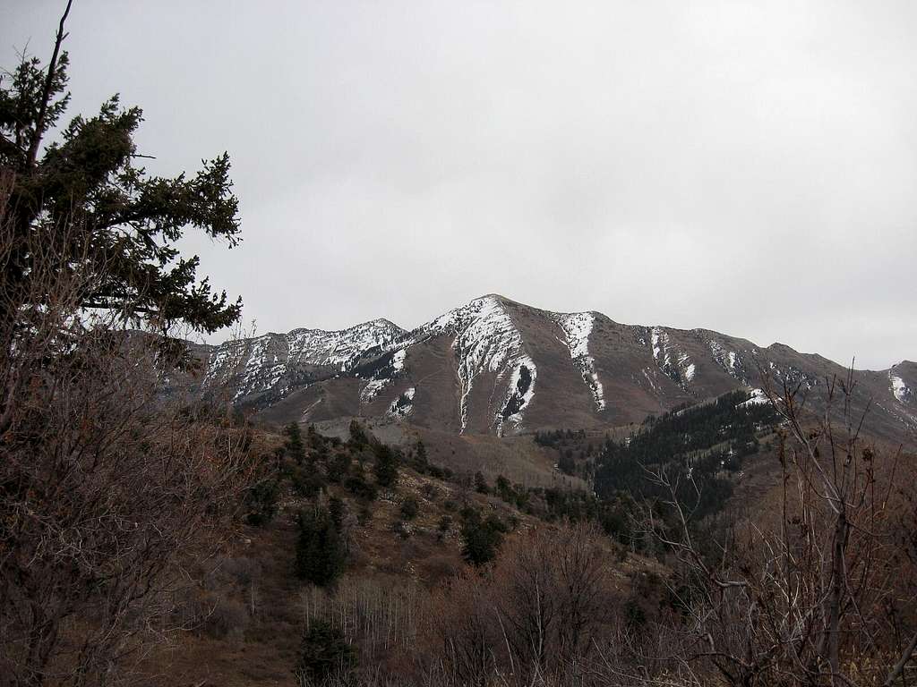 Provo Peak from Y Mountain
