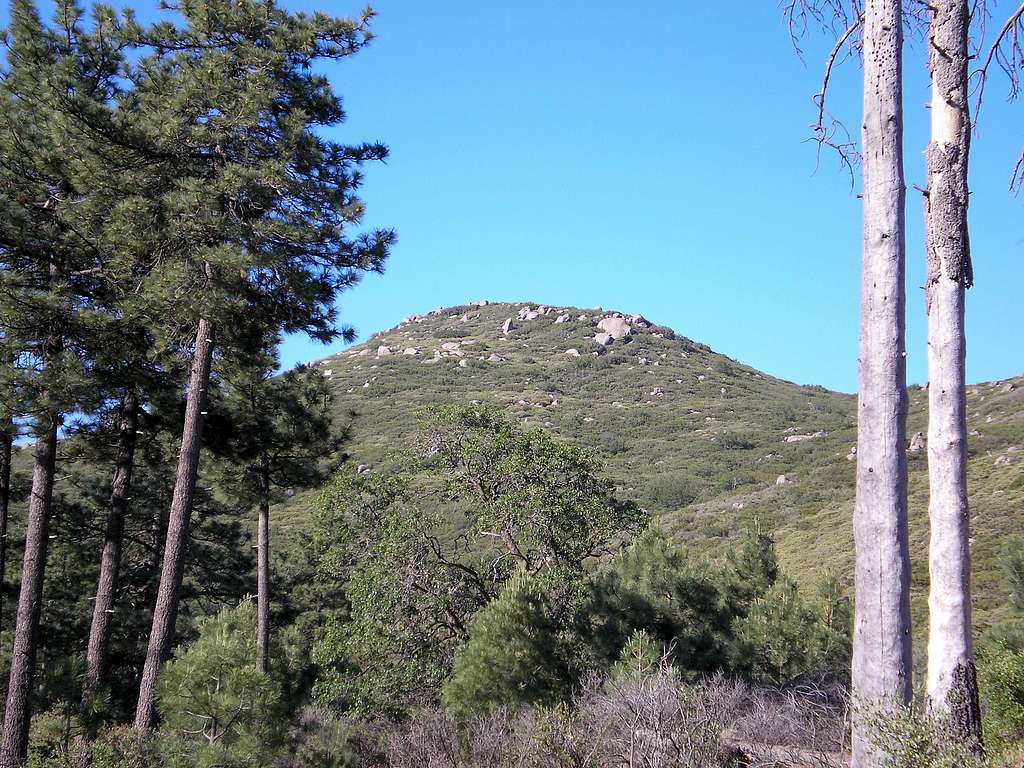 Sheephead Mountain's Northern Flank