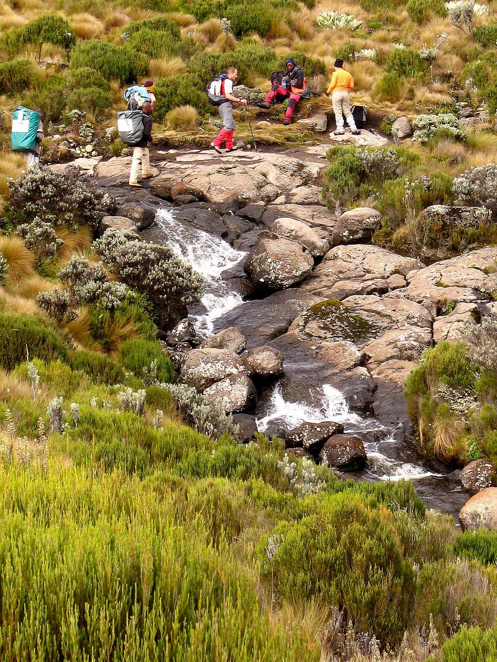 Mount Kenya Stream