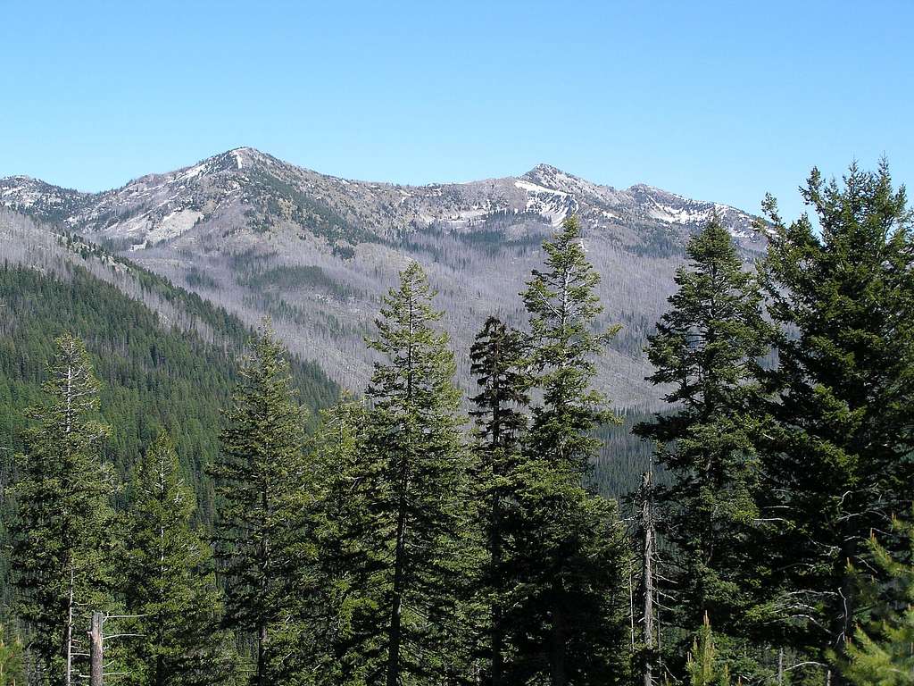 A LOOK UP AT THE ELKHORN RIDGE FROM THE WEST