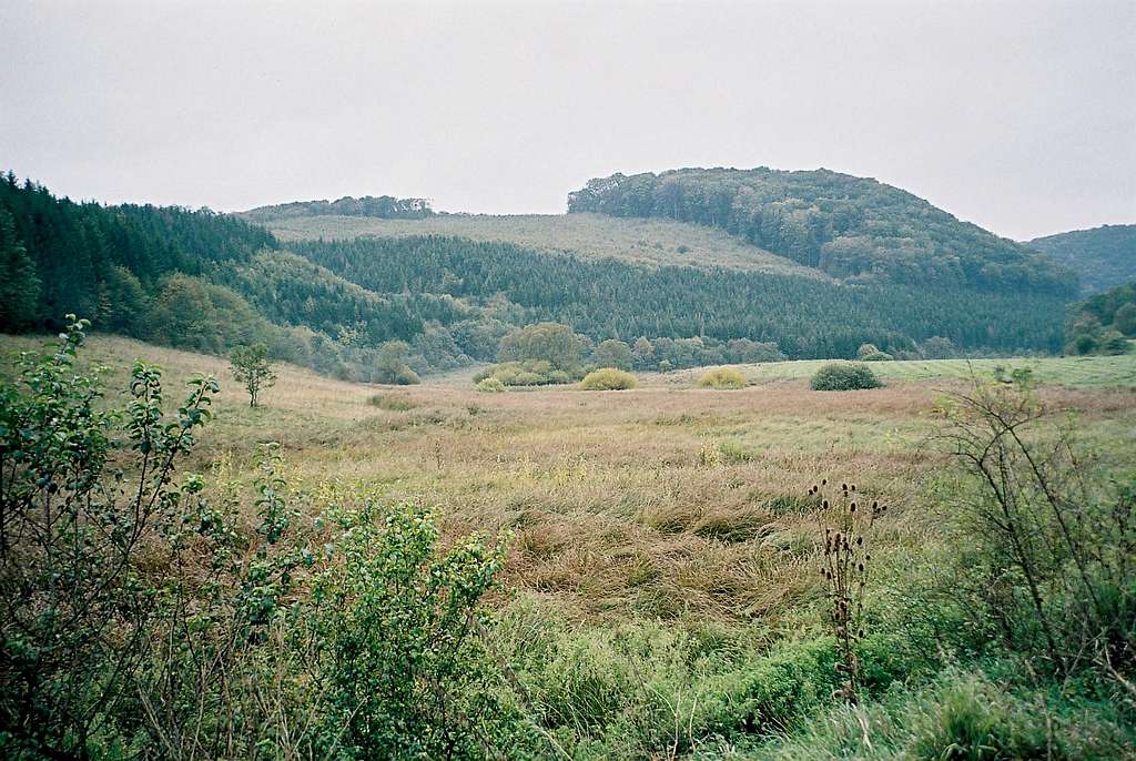 Bog near Répáshuta