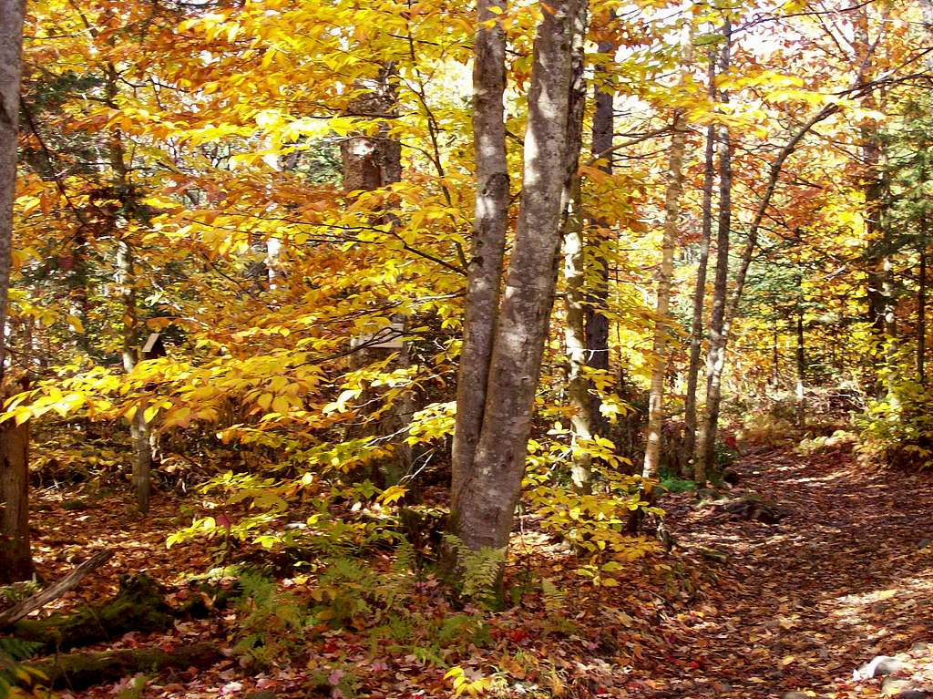 lovely fall colors on the start of the trail