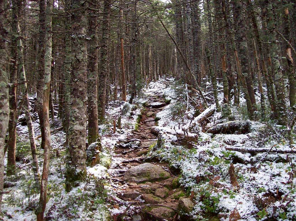 the snow starting to appear on the trail