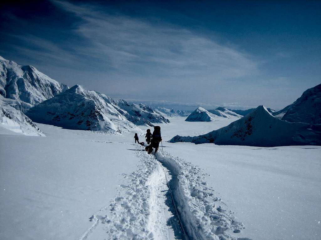 McKinley - above camp I