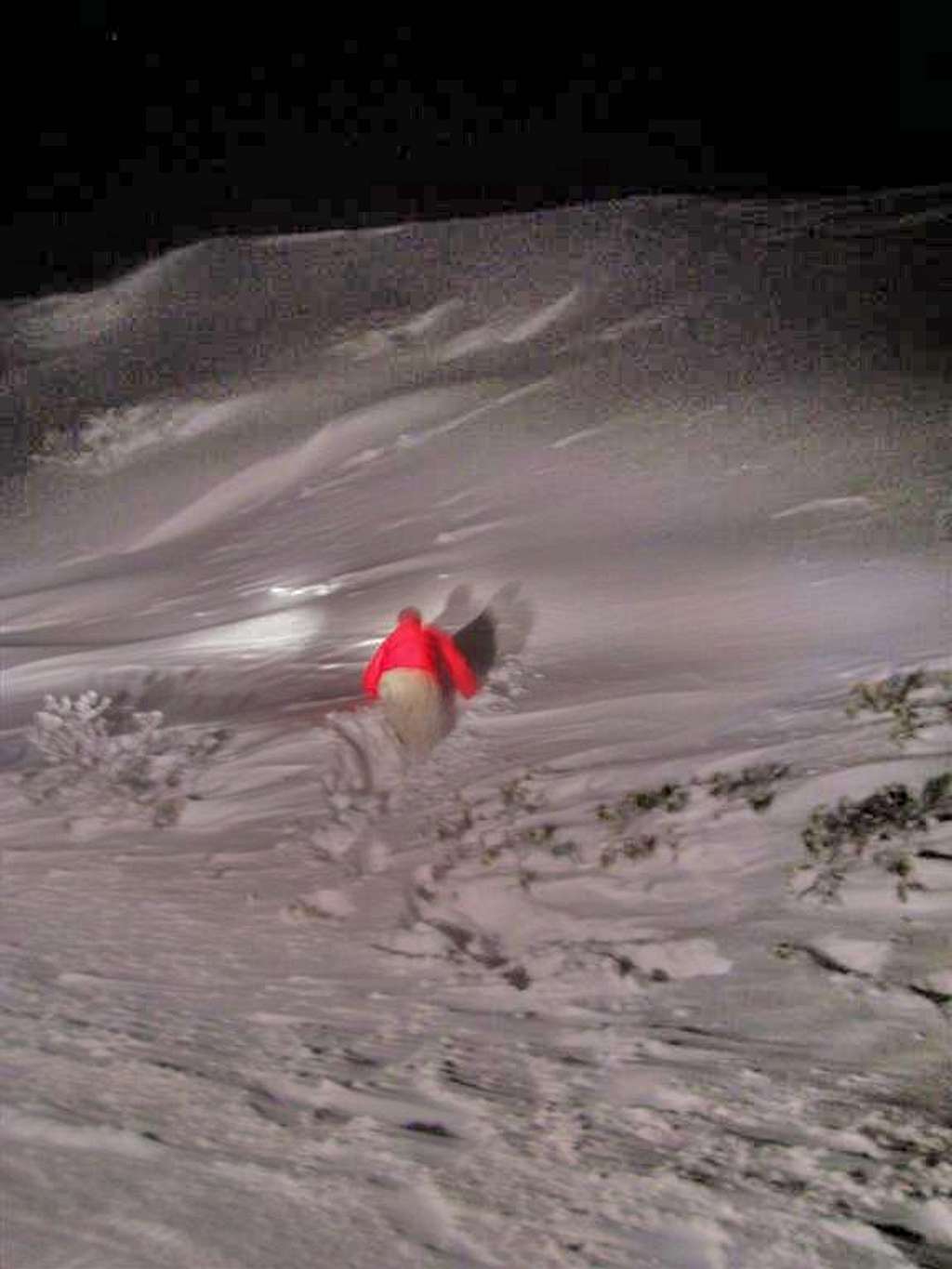 Roan Mountain Snow Drift