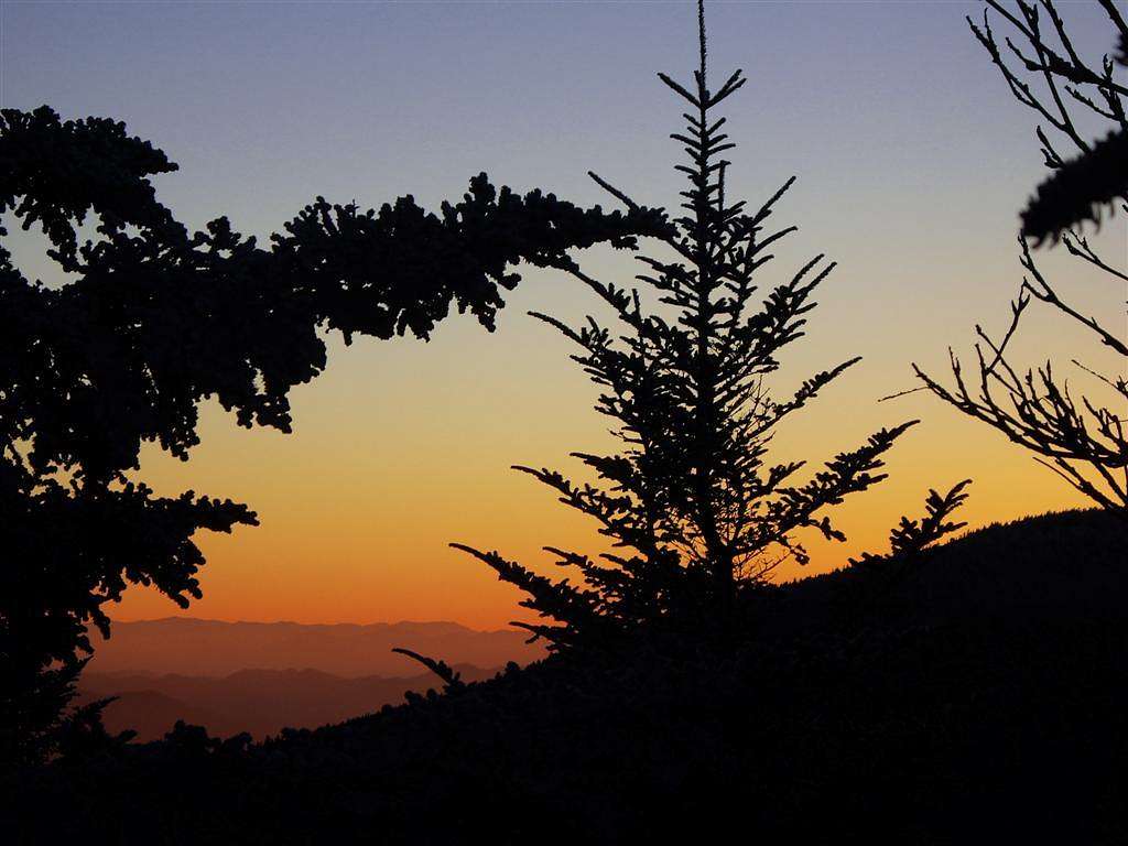 Roan Sunset