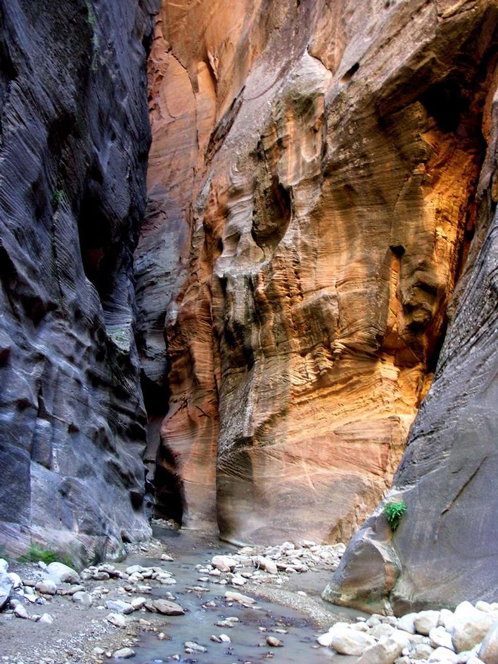 Orderville Canyon