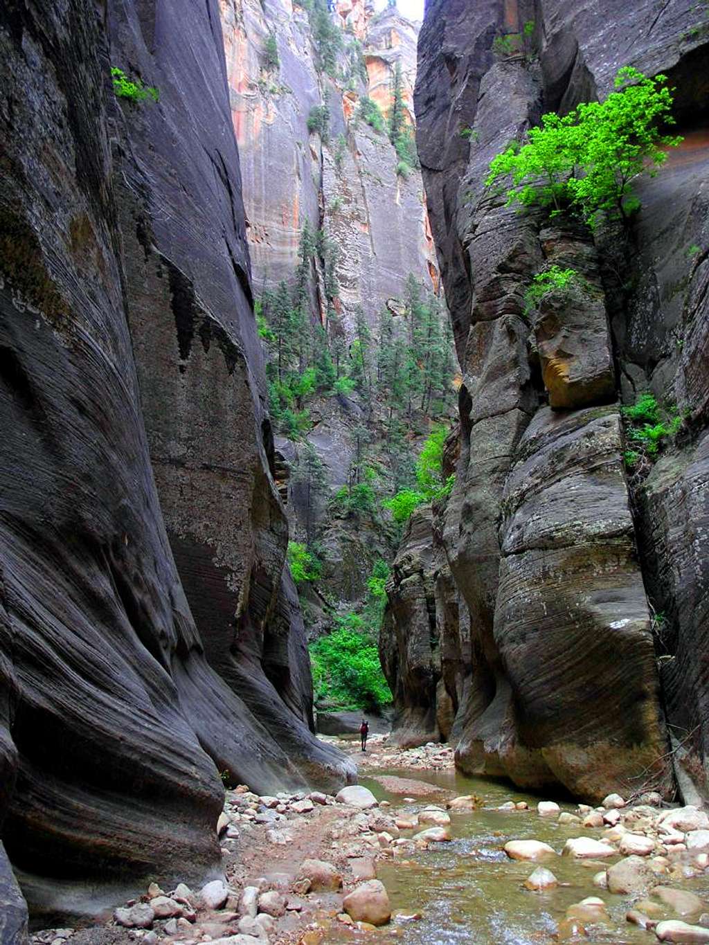 Zion Narrows