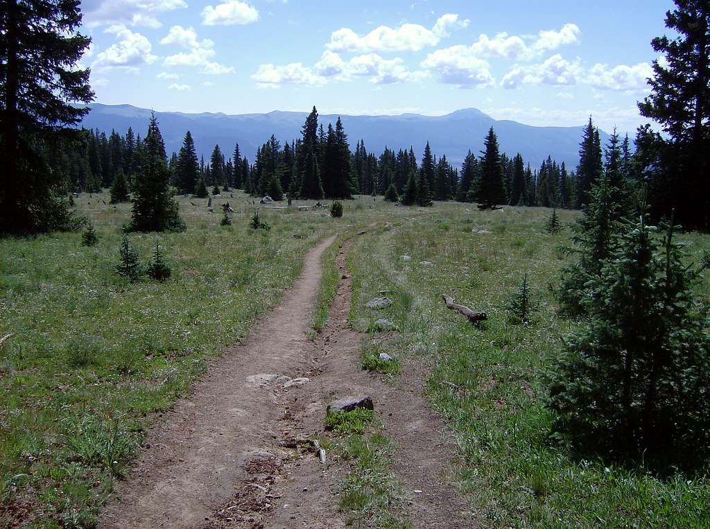 Just below timberline on the East Ridge