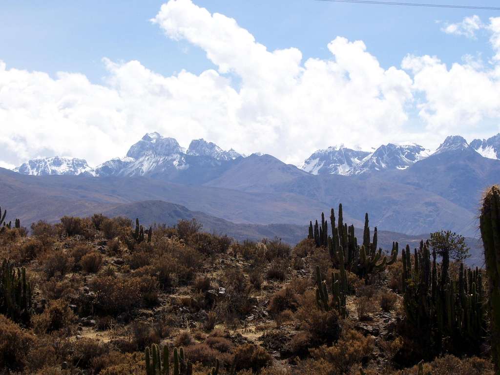 View from near the summit of Cerro Yanamauras