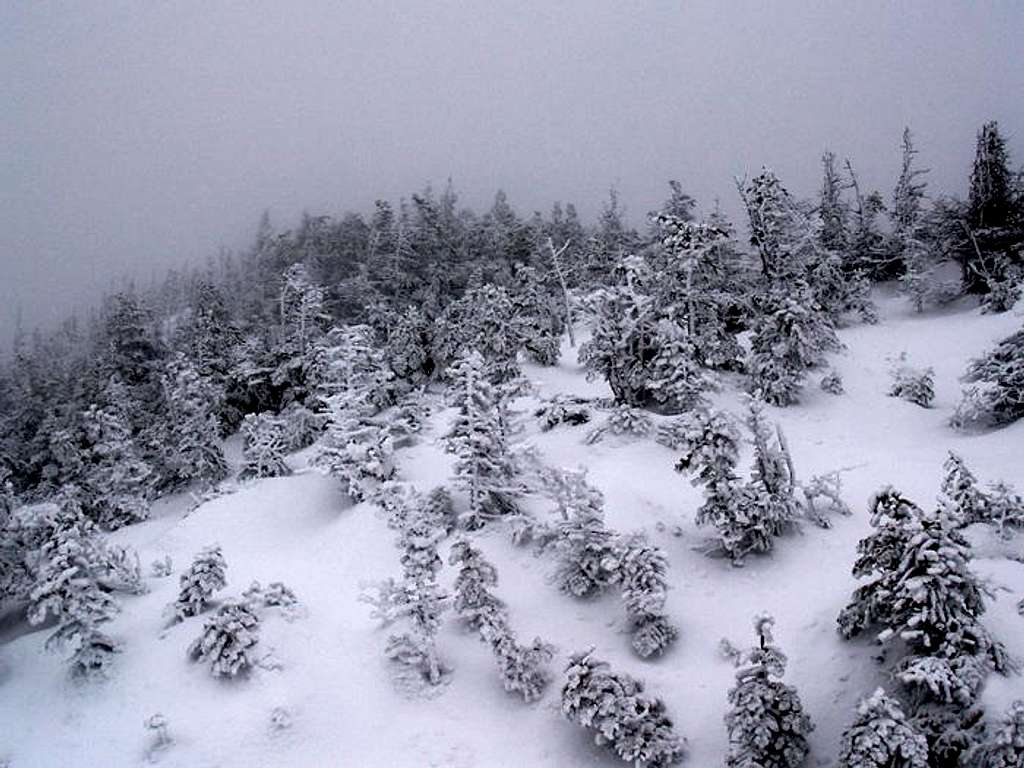 Colden's Summit During Snowstorm