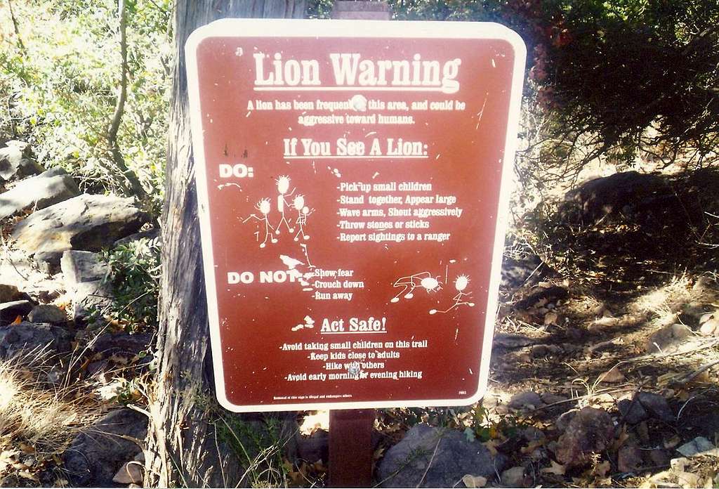 Lion warning