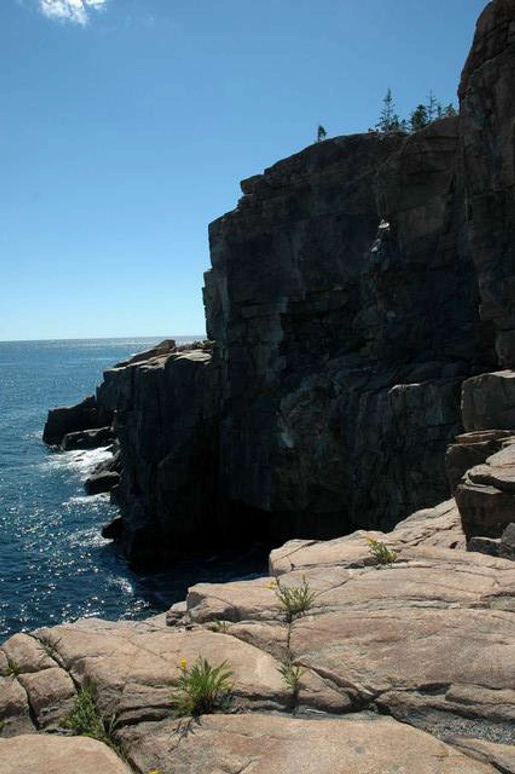 Otter Cliffs