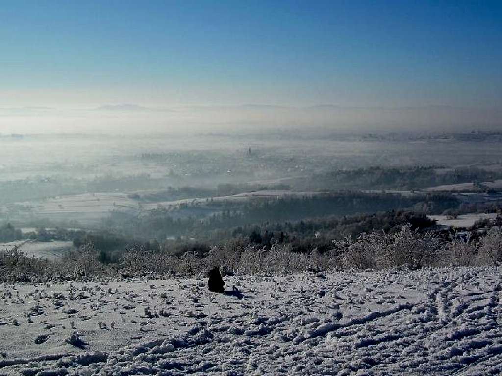 A freezing day in the Low Beskid