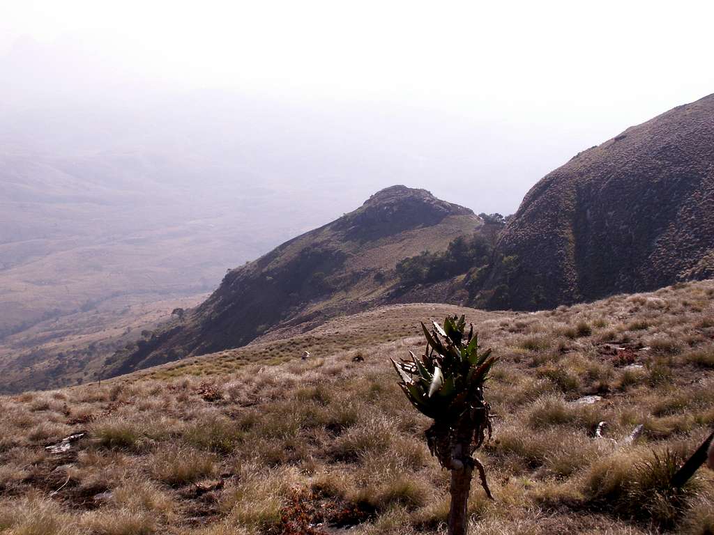 Half Way Up Mount Namuli
