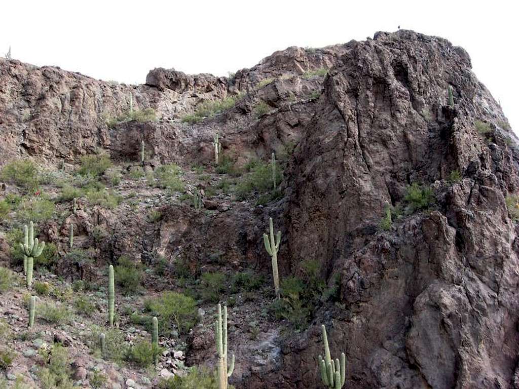 Picacho South Slope